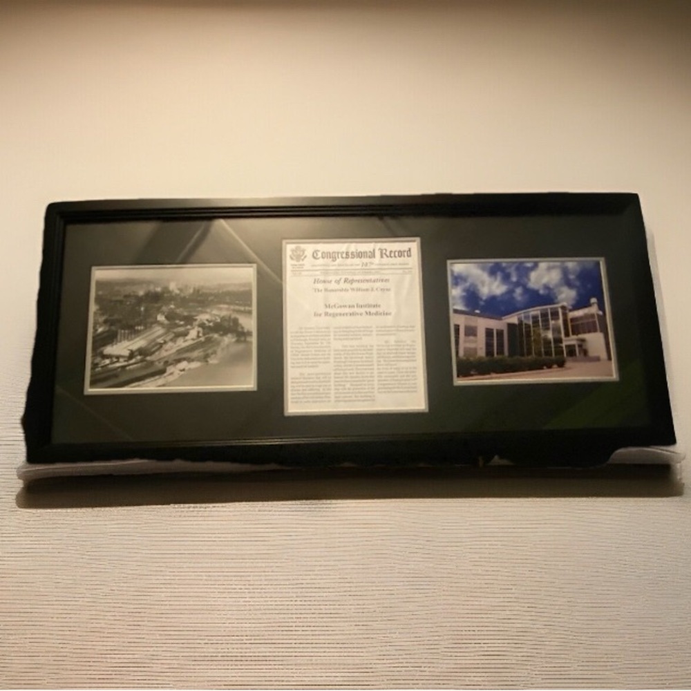 Historical wall decor that hung at Pittsburgh University fir 29 years